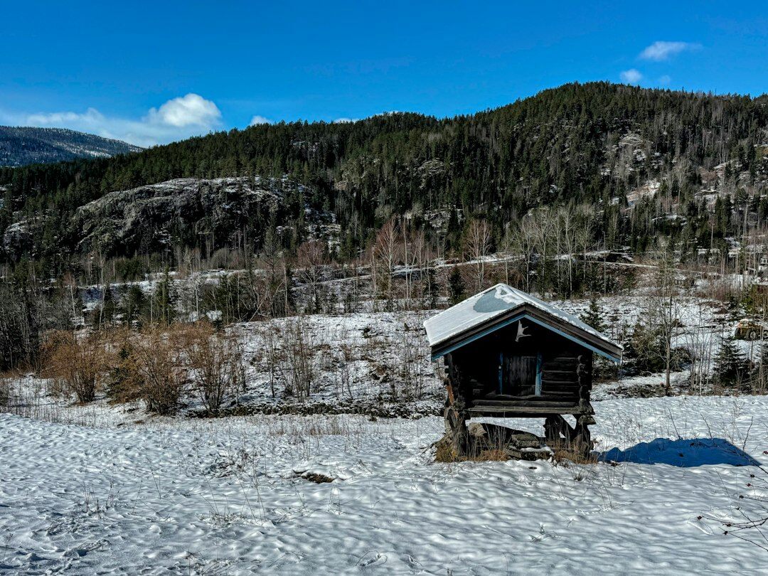 secluded mountain cabin
