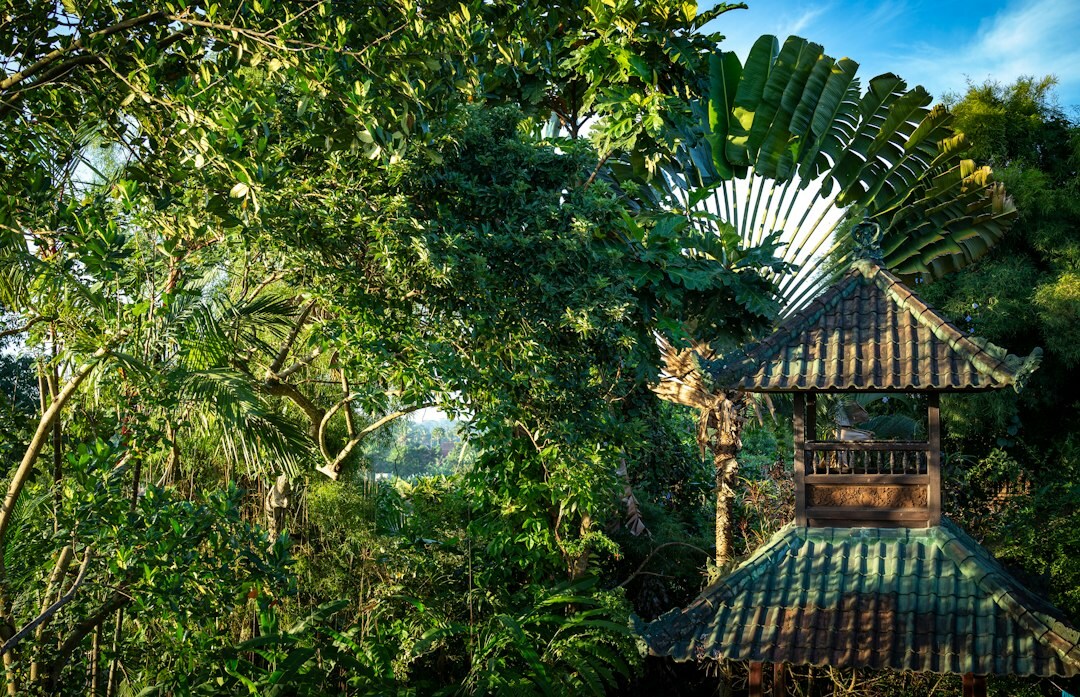 bali temple garden