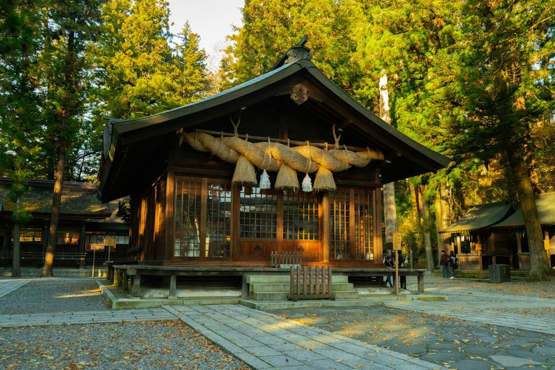 Traditional Japanese temple surrounded by autumn maple trees at golden hour